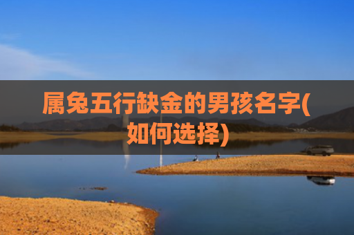 属兔五行缺金的男孩名字(如何选择)