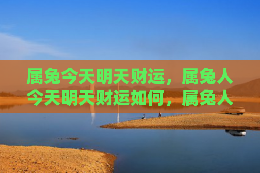 属兔今天明天财运，属兔人今天明天财运如何，属兔人今天明天财运顺利