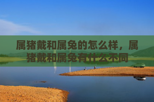 属猪戴和属兔的怎么样，属猪戴和属兔有什么不同