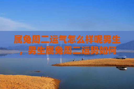 属兔周二运气怎么样呢男生，男生属兔周二运势如何