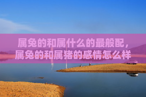 属兔的和属什么的最般配，属兔的和属猪的感情怎么样，属兔和属猪的感情如何