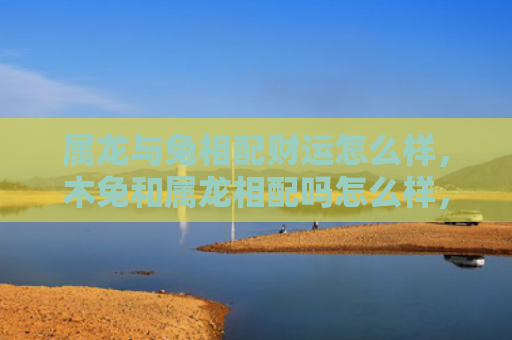 属龙与兔相配财运怎么样，木兔和属龙相配吗怎么样，关于木兔和属龙的配对分析