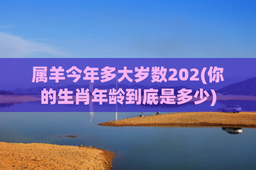 属羊今年多大岁数202(你的生肖年龄到底是多少)