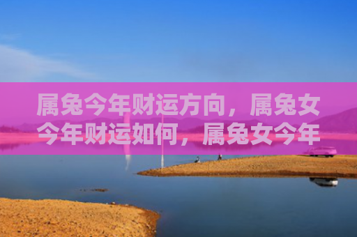 属兔今年财运方向，属兔女今年财运如何，属兔女今年的财运情况
