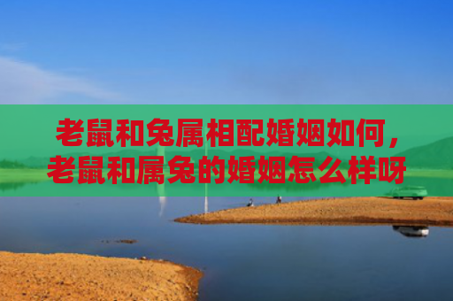 老鼠和兔属相配婚姻如何，老鼠和属兔的婚姻怎么样呀，老鼠和属兔的婚姻真的存在吗