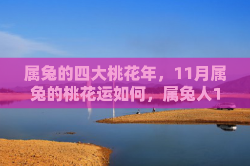 属兔的四大桃花年，11月属兔的桃花运如何，属兔人11月桃花运详解