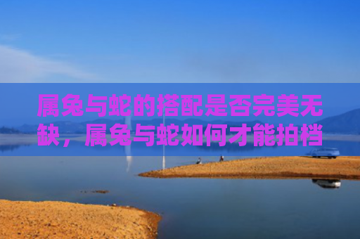 属兔与蛇的搭配是否完美无缺，属兔与蛇如何才能拍档得当