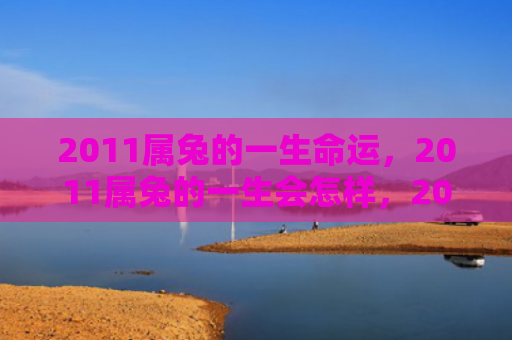 2011属兔的一生命运，2011属兔的一生会怎样，2011属兔的人生轨迹