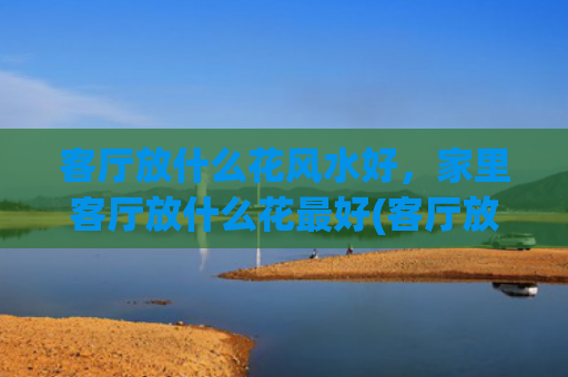 客厅放什么花风水好，家里客厅放什么花最好(客厅放什么摆件风水好)