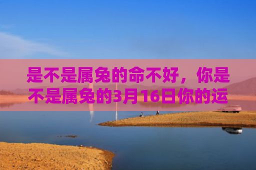 是不是属兔的命不好，你是不是属兔的3月16日你的运势怎样，3月16日属兔人运势如何