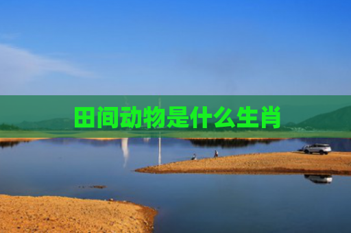 田间动物是什么生肖