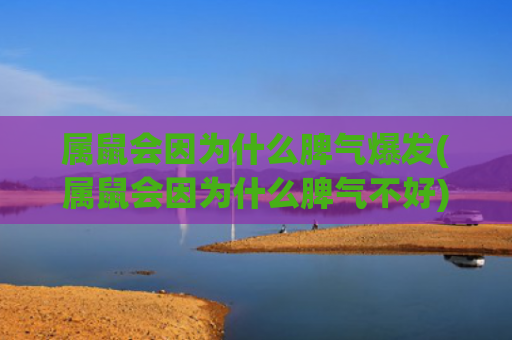 属鼠会因为什么脾气爆发(属鼠会因为什么脾气不好)