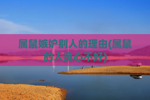 属鼠嫉妒别人的理由(属鼠的人良心不好)