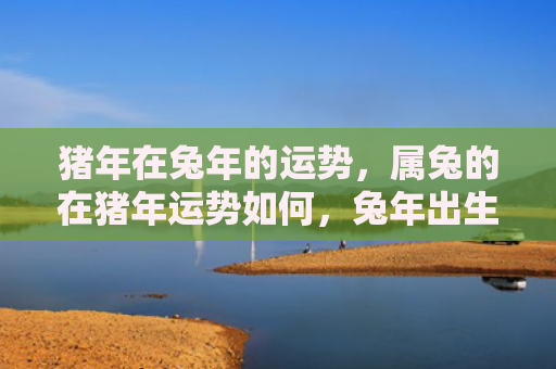 猪年在兔年的运势，属兔的在猪年运势如何，兔年出生的人在猪年会有何收获