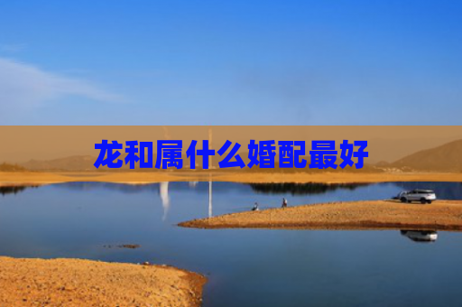 龙和属什么婚配最好