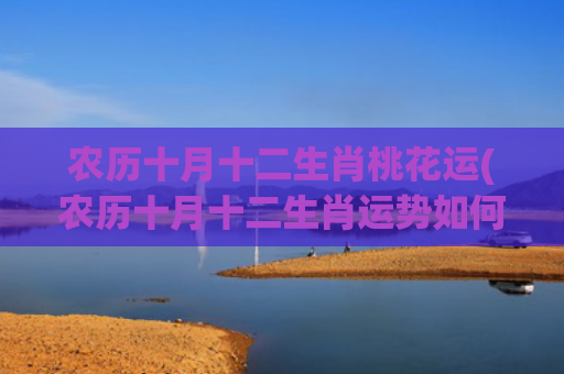 农历十月十二生肖桃花运(农历十月十二生肖运势如何)