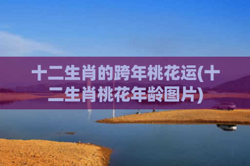 十二生肖的跨年桃花运(十二生肖桃花年龄图片)