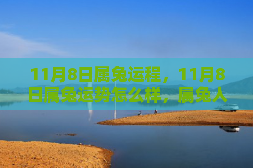 11月8日属兔运程，11月8日属兔运势怎么样，属兔人在11月8日的运势