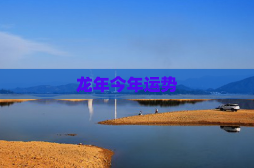 龙年今年运势