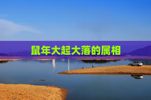 鼠年大起大落的属相