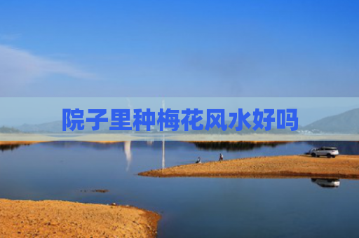 院子里种梅花风水好吗