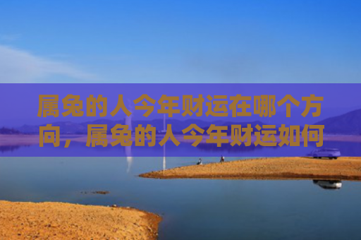 属兔的人今年财运在哪个方向，属兔的人今年财运如何，属兔的人今年财运吉祥如意