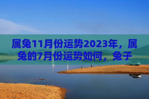 属兔11月份运势2023年，属兔的7月份运势如何，兔子们的7月运势解析