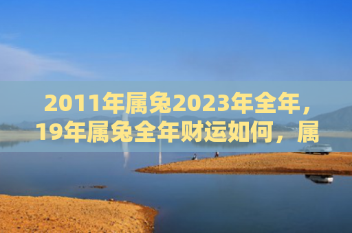 2011年属兔2023年全年，19年属兔全年财运如何，属兔人2019年的财运表现