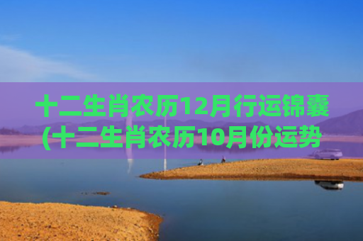 十二生肖农历12月行运锦囊(十二生肖农历10月份运势)