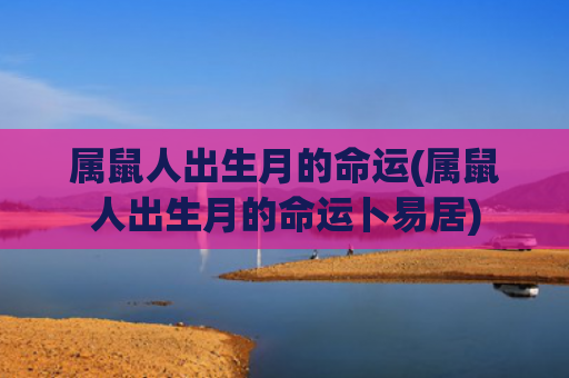 属鼠人出生月的命运(属鼠人出生月的命运卜易居)