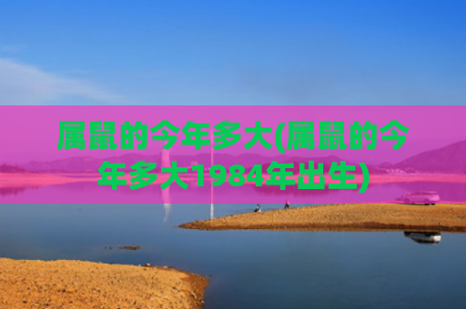 属鼠的今年多大(属鼠的今年多大1984年出生)