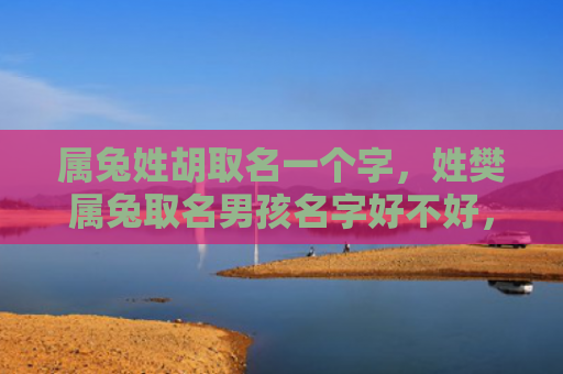 属兔姓胡取名一个字，姓樊属兔取名男孩名字好不好，姓樊属兔男孩适合取什么名字