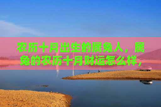 农历十月出生的属兔人，属兔的农历十月财运怎么样，十月属兔者财运如何