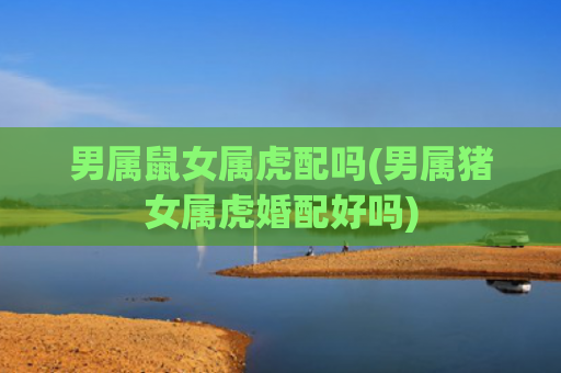 男属鼠女属虎配吗(男属猪女属虎婚配好吗)