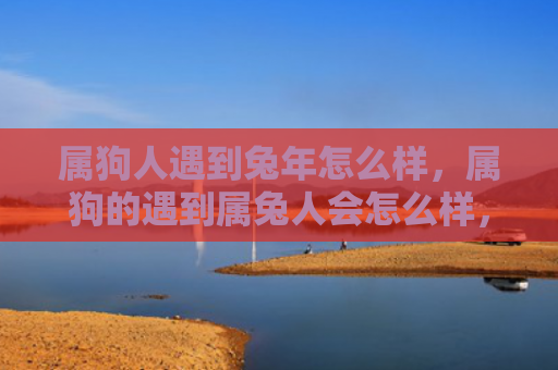 属狗人遇到兔年怎么样，属狗的遇到属兔人会怎么样，属狗和属兔的缘分如何