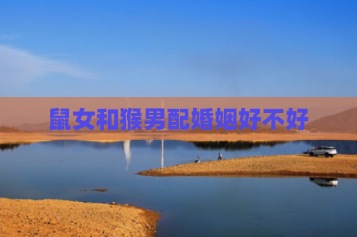 鼠女和猴男配婚姻好不好