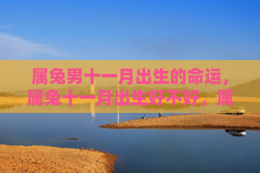 属兔男十一月出生的命运，属兔十一月出生好不好，属兔十一月出生的特点