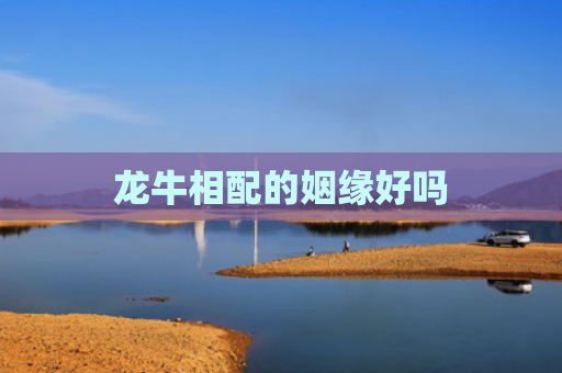 龙牛相配的姻缘好吗