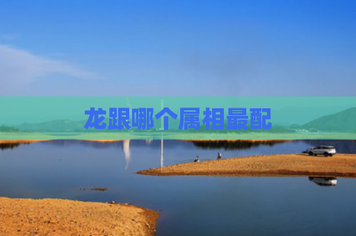 龙跟哪个属相最配