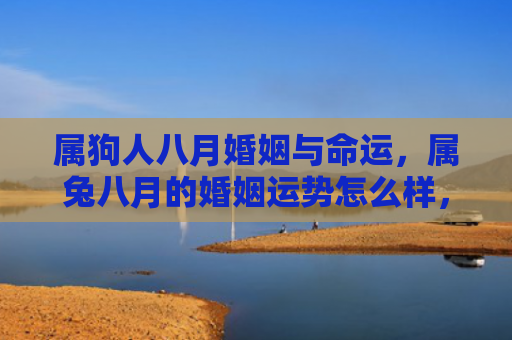 属狗人八月婚姻与命运，属兔八月的婚姻运势怎么样，属兔的婚姻运势如何