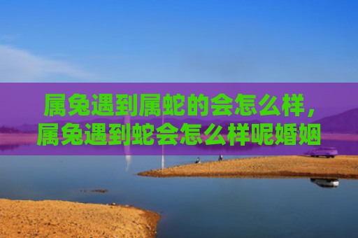 属兔遇到属蛇的会怎么样，属兔遇到蛇会怎么样呢婚姻，如何看待属兔与属蛇的婚姻