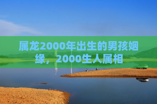 属龙2000年出生的男孩姻缘，2000生人属相