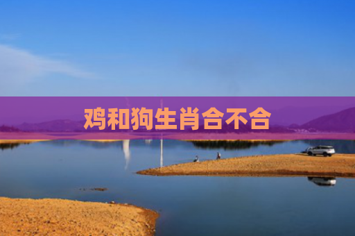 鸡和狗生肖合不合