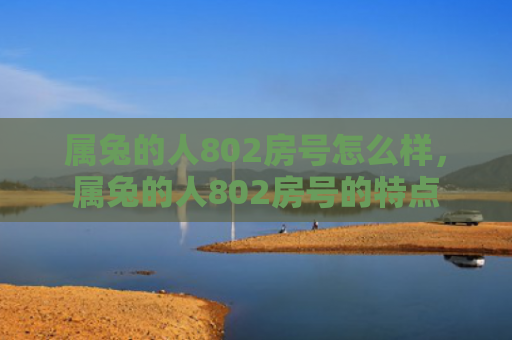 属兔的人802房号怎么样，属兔的人802房号的特点