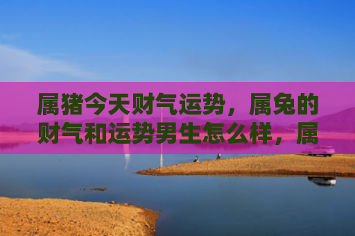 属猪今天财气运势，属兔的财气和运势男生怎么样，属兔男生的运势和财富状况