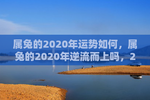 属兔的2020年运势如何，属兔的2020年逆流而上吗，2020年属兔的会有财运吗
