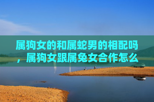 属狗女的和属蛇男的相配吗，属狗女跟属兔女合作怎么样，属狗女跟属兔女的合作效果