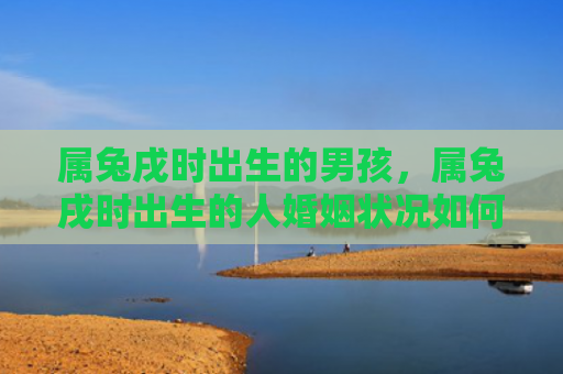属兔戌时出生的男孩，属兔戌时出生的人婚姻状况如何，属兔戌时出生的人和谁最配