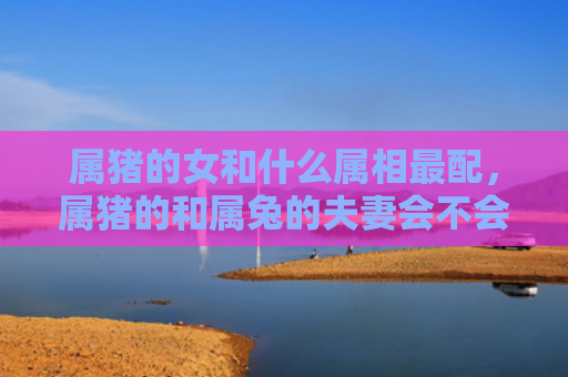 属猪的女和什么属相最配，属猪的和属兔的夫妻会不会过得舒心，属猪的和属兔的夫妻相处如何