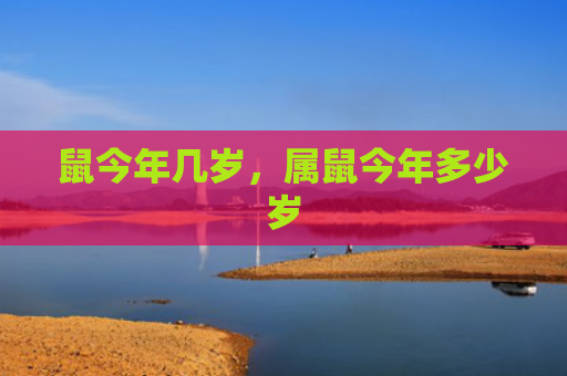 鼠今年几岁，属鼠今年多少岁